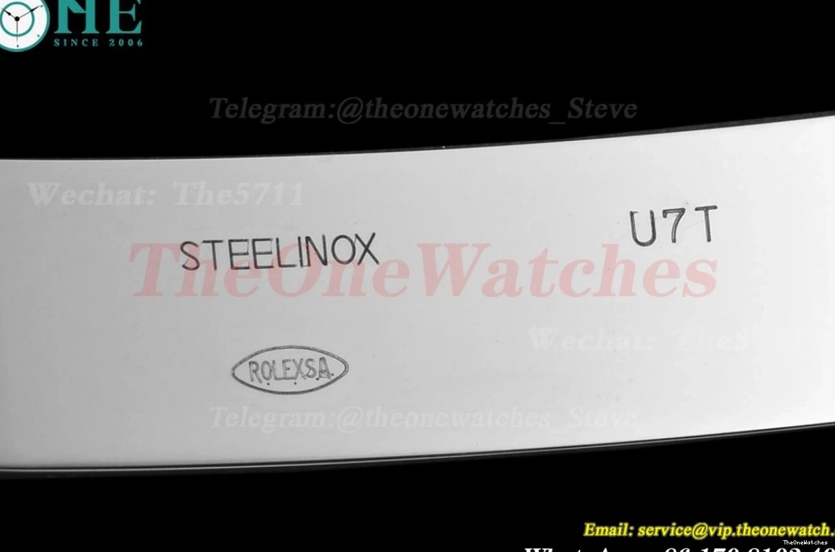 Black Explorer 40mm SS VS3230 224270 SS Dial VSF I 0129